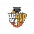 Agglo Basket 41